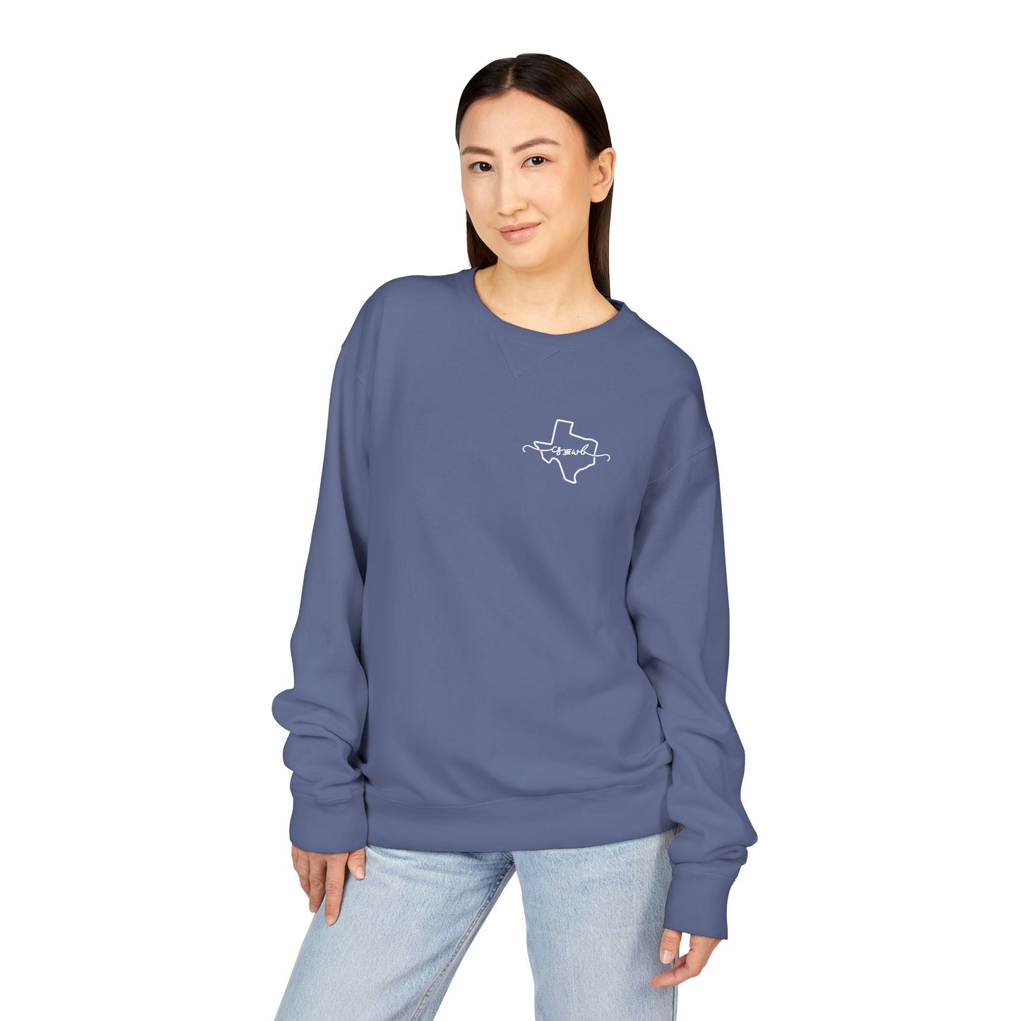 Script - Hanes Adult ComfortWash Unisex Crew Sweatshirt